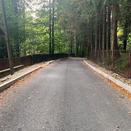 Wood Studio Sinaia Luaran gambar