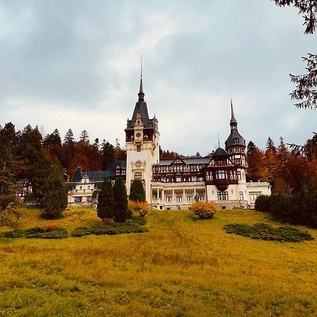 Wood Studio Sinaia Luaran gambar