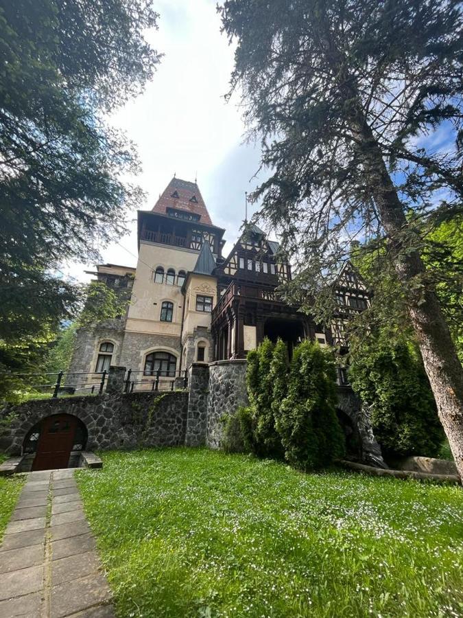 Wood Studio Sinaia Luaran gambar