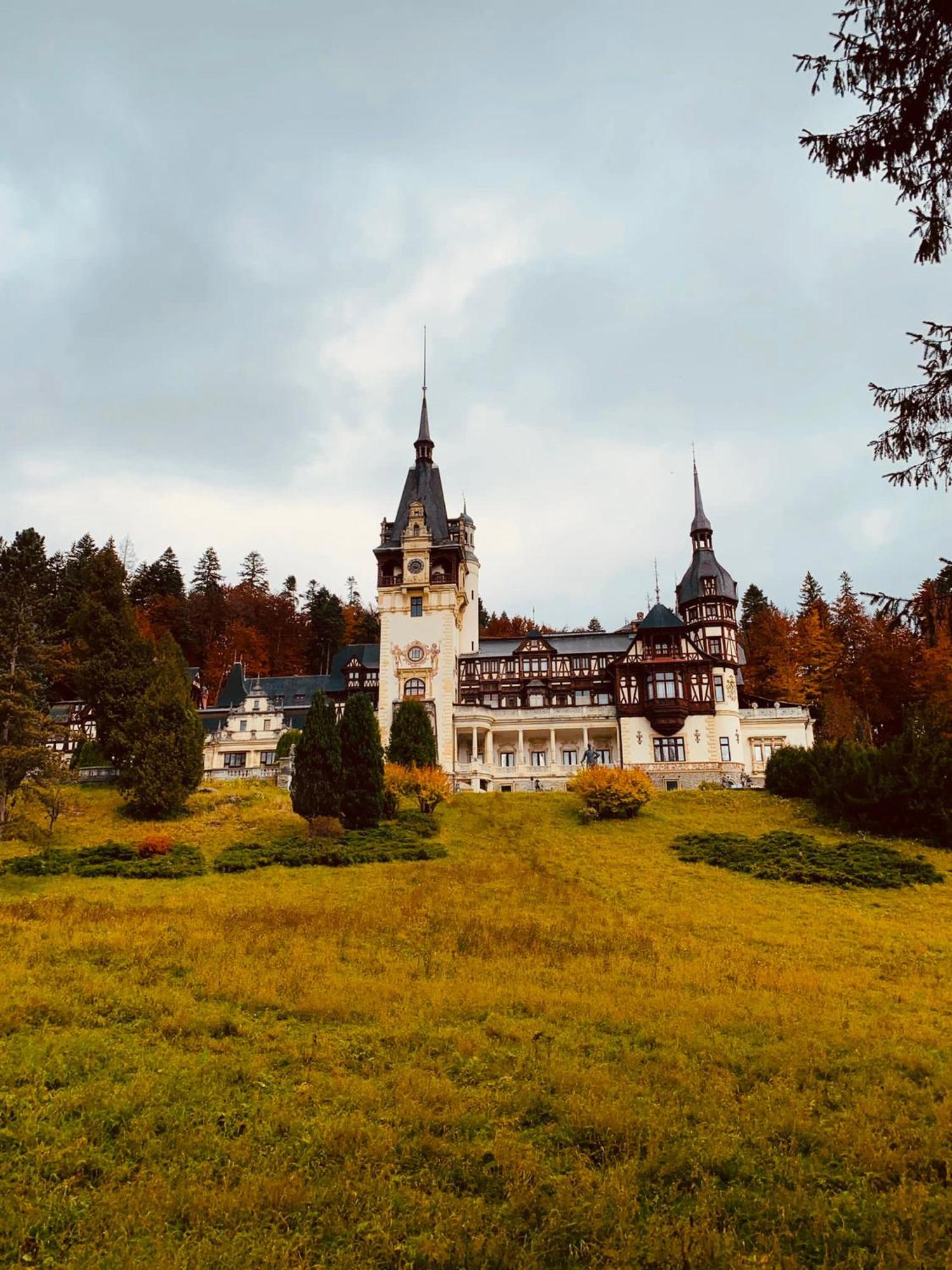Wood Studio Sinaia Luaran gambar